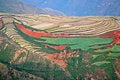 Free Red Soil Royalty Free Stock Photography - 8508867