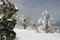Free Snow Royalty Free Stock Photos - 8502678