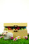 Free Box Of Easter Eggs And Cute Sheep Royalty Free Stock Photo - 8504595