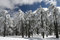 Free Beautiful Snowscape Royalty Free Stock Images - 8505659