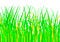 Free Green Grass Royalty Free Stock Photo - 8505765