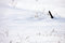 Free Winter Landscape Stock Photography - 8505982