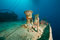 Free Starboard Bollards Of TheThistlegorm Royalty Free Stock Photography - 8507037