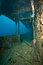 Free Starboard Gangway Of The Thistlegorm Royalty Free Stock Images - 8508079