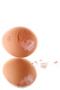 Free Egg Royalty Free Stock Images - 8512589