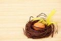 Free Eggs In Nest With Feathers Stock Photos - 8513803