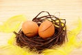 Free Eggs In Nest With Feathers Stock Image - 8513831