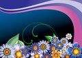 Free Floral Background Stock Photo - 8514630