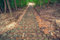 Free Ancient Stone Path From Ta Som Temple. Angkor Wat Royalty Free Stock Photos - 8516638