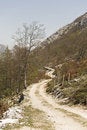 Free Road Vanishing To The Horizon Stock Images - 8521624