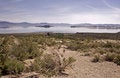 Free Mono Lake Stock Photography - 8523432