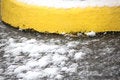 Free Arctic Winter Blast. Stock Photos - 8527263