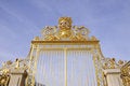 Free The Door With Golden Royalty Free Stock Images - 8537259