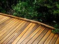 Free Hinterland Boardwalk Stock Photo - 8539560