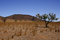 Free Australian Outback Stock Photo - 8533800