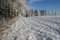 Free Winter Landscape Royalty Free Stock Image - 8537596