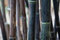 Free Bamboo Stalks Royalty Free Stock Images - 8539149