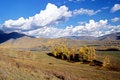 Free China/Xinjiang: Fall In Hemu Village Royalty Free Stock Image - 8544066