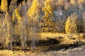 Free China/Xinjiang: Fall Color Of Riverside Royalty Free Stock Photos - 8544108