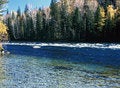 Free China/Xinjiang: The Fall Trees And Hemu River Stock Photo - 8544570