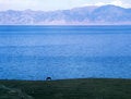 Free China/Xinjiang: Sailimu Lake Royalty Free Stock Image - 8544656