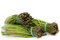 Free Mexican Asparagus Royalty Free Stock Photos - 8540768