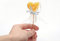 Free Hand Gives Heart-shaped Candy Isolated Royalty Free Stock Images - 8541119