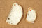 Free Two Slices Of Bread Pinned To Corkboard Stock Photography - 8542882