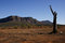 Free Australian Outback Stock Photos - 8543343