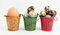 Free Eggs In Buckets Stock Photos - 8545903