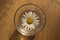 Free Daisy In A Glass Royalty Free Stock Images - 8546279