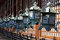 Free Lanterns In Japan Royalty Free Stock Photo - 8549255