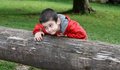 Free Boy With Sly Expression Leans On Log Royalty Free Stock Image - 8552456