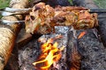 Free Appetizing Roasted Meat - Shish Kebab. Royalty Free Stock Images - 8557289