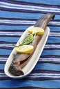 Free Smoked Eel Royalty Free Stock Photo - 8559695