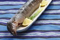 Free Smoked Eel Royalty Free Stock Photography - 8559707