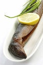 Free Smoked Eel Stock Images - 8559714