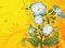 Free Floral Background Stock Photography - 8552632