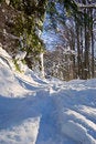 Free Winter Pass Stock Photography - 8560562