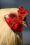 Free Rooster Closeup 0901 Royalty Free Stock Photo - 8561235