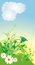 Free Chamomiles. Spring Composition Stock Photos - 8564373