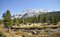 Free Yosemite Collection 7 Stock Images - 8565564