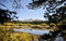 Free Yosemite Collection 8 Royalty Free Stock Image - 8565596
