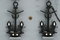 Free Anchors Of Cruiser Aurora Royalty Free Stock Image - 8566556