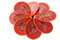 Free The Pinwheel Royalty Free Stock Images - 8569029
