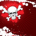 Free Grunge Skull Stock Images - 8570924