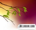 Free Growth Royalty Free Stock Images - 8575189