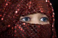Free Blue Eyes Orient Royalty Free Stock Photos - 8577348