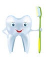 Free Tooth Stock Photography - 8578612