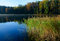 Free Forest Lake Stock Photography - 8577732